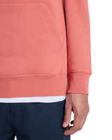 Salt Water Hoodie in Desert Sand