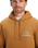 The Quiksilver Mens Light Waves Hoodie in Almond