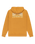 The Quiksilver Mens Light Waves Hoodie in Almond