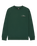 The Quiksilver Mens Graphic Sweatshirt in Trekking Green