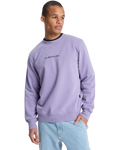 The Quiksilver Mens Graphic Sweatshirt in Daybreak