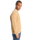 Salt Water Graphic Sweatshirt in Khaki