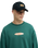 The Quiksilver Mens Disk Sweatshirt in Forest