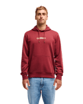 The Quiksilver Mens Fineline Hoodie in Oxblood Red