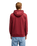 The Quiksilver Mens Fineline Hoodie in Oxblood Red