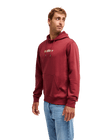 The Quiksilver Mens Fineline Hoodie in Oxblood Red