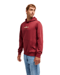 The Quiksilver Mens Fineline Hoodie in Oxblood Red