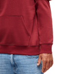The Quiksilver Mens Fineline Hoodie in Oxblood Red