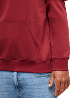 The Quiksilver Mens Fineline Hoodie in Oxblood Red