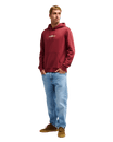 The Quiksilver Mens Fineline Hoodie in Oxblood Red