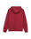The Quiksilver Mens Fineline Hoodie in Oxblood Red