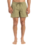 The Quiksilver Mens Everyday Beach Volley Shorts in Aloe
