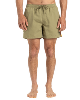 The Quiksilver Mens Everyday Beach Volley Shorts in Aloe