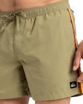 The Quiksilver Mens Everyday Beach Volley Shorts in Aloe