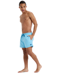 The Quiksilver Mens Everyday Solid Volley Shorts in Milky Blue