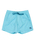 The Quiksilver Mens Everyday Solid Volley Shorts in Milky Blue