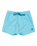 The Quiksilver Mens Everyday Solid Volley Shorts in Milky Blue
