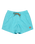 Everyday Solid Volley Shorts in Aqua