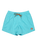 Everyday Solid Volley Shorts in Aqua