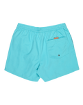 Everyday Solid Volley Shorts in Aqua