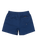 The Quiksilver Mens Everyday Solid Volley Shorts in Estate Blue