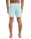 The Quiksilver Mens Everyday Solid Volley Shorts in Mist Green