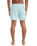 The Quiksilver Mens Everyday Solid Volley Shorts in Mist Green