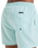 The Quiksilver Mens Everyday Solid Volley Shorts in Mist Green