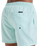 The Quiksilver Mens Everyday Solid Volley Shorts in Mist Green