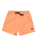 The Quiksilver Mens Everyday Solid Volley Shorts in Melon