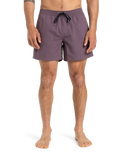 The Quiksilver Mens Everyday Solid Volley Shorts in Vintage Violet