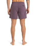 The Quiksilver Mens Everyday Solid Volley Shorts in Vintage Violet
