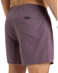 The Quiksilver Mens Everyday Solid Volley Shorts in Vintage Violet