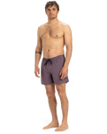 The Quiksilver Mens Everyday Solid Volley Shorts in Vintage Violet
