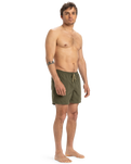The Quiksilver Mens Fineline Volley Shorts in Aloe