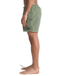 Everyday Surfwash Volley Shorts in Grape Leaf