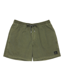Everyday Surfwash Volley Shorts in Grape Leaf