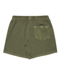 Everyday Surfwash Volley Shorts in Grape Leaf