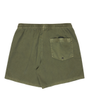 Everyday Surfwash Volley Shorts in Grape Leaf