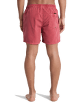 Everyday Surfwash Volley Shorts in Burnt Russet