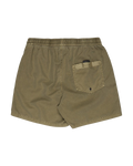 Everyday Surfwash Volley Shorts in Aloe
