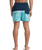 The Quiksilver Mens Everyday Poolsider Swimshorts in Dark Navy Panel Nat Geo