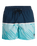 The Quiksilver Mens Everyday Poolsider Swimshorts in Dark Navy Panel Nat Geo
