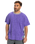 The Quiksilver Mens Global Heat T-Shirt in Global Heat Dusted Peri