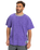 The Quiksilver Mens Global Heat T-Shirt in Global Heat Dusted Peri