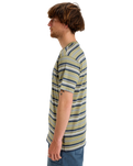 The Quiksilver Mens Tengha Stripe T-Shirt in Aloe Tengha