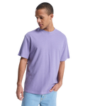 The Quiksilver Mens Bayi T-Shirt in Daybreak