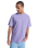The Quiksilver Mens Bayi T-Shirt in Daybreak