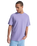 The Quiksilver Mens Bayi T-Shirt in Daybreak