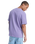 The Quiksilver Mens Bayi T-Shirt in Daybreak